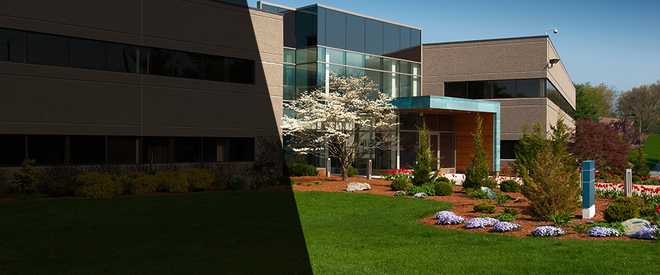 Mount Laurel Landscapers