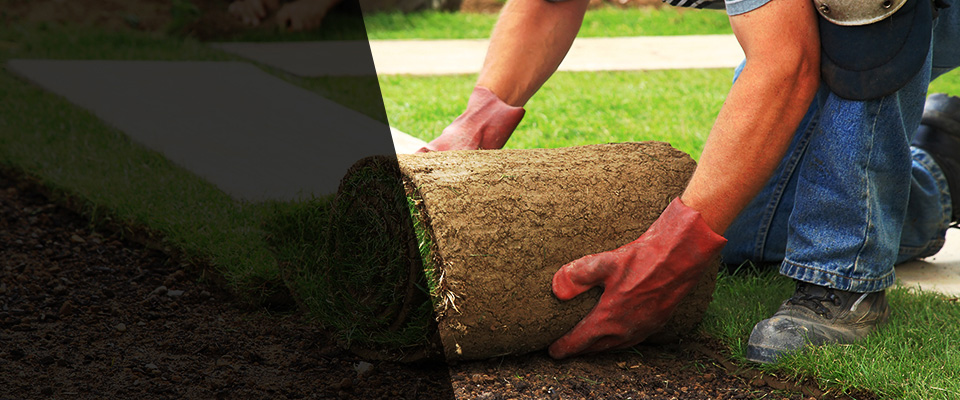 Mount Laurel Landscapers